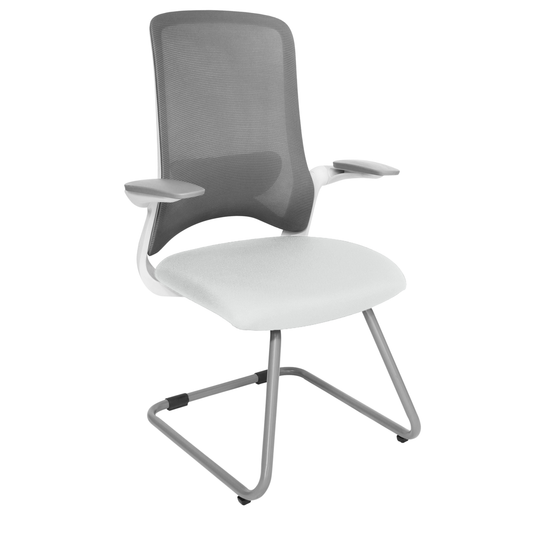 DOLPHIN OHV-111 BASE GRIS
