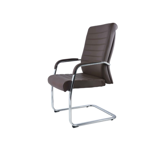 BM 1275 VISITANTE CON TRINEO