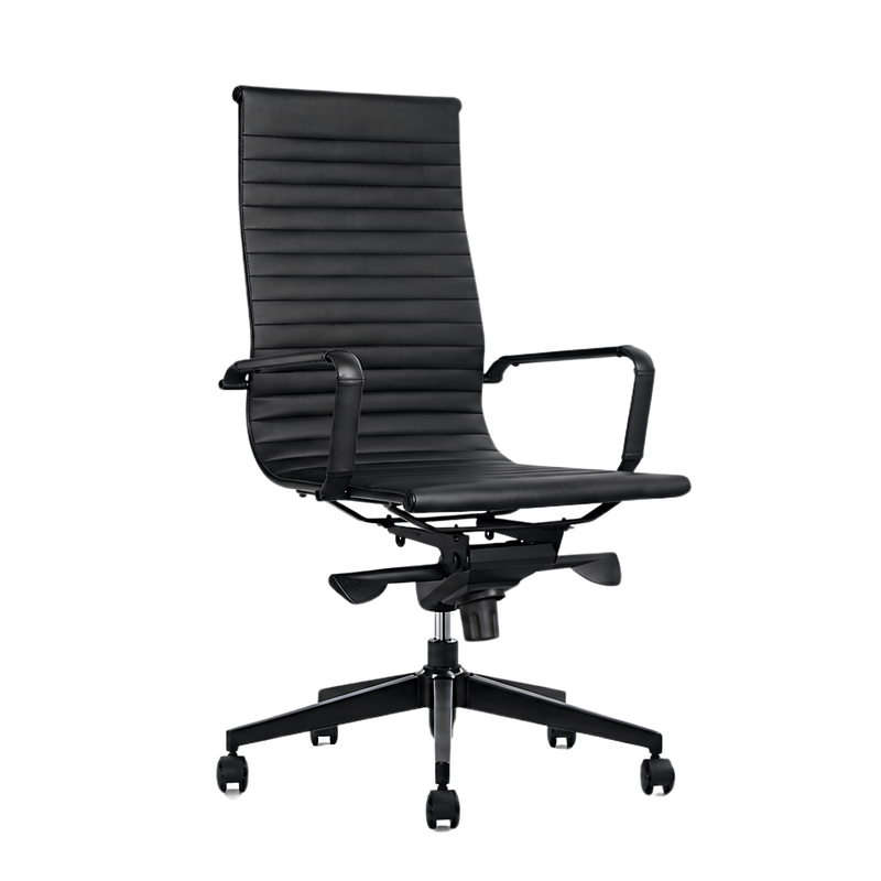 CADIZ BASE NEGRA RESPALDO ALTO