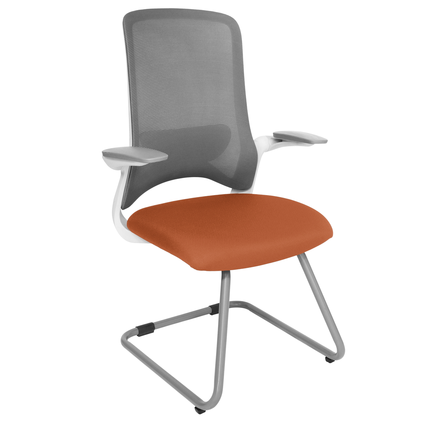 DOLPHIN OHV-111 BASE GRIS
