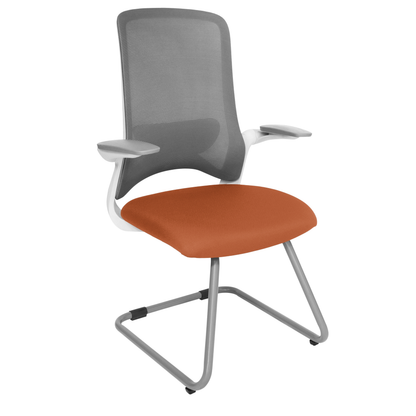 DOLPHIN OHV-111 BASE GRIS