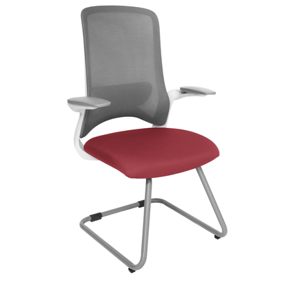 DOLPHIN OHV-111 BASE GRIS