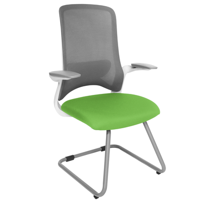 DOLPHIN OHV-111 BASE GRIS