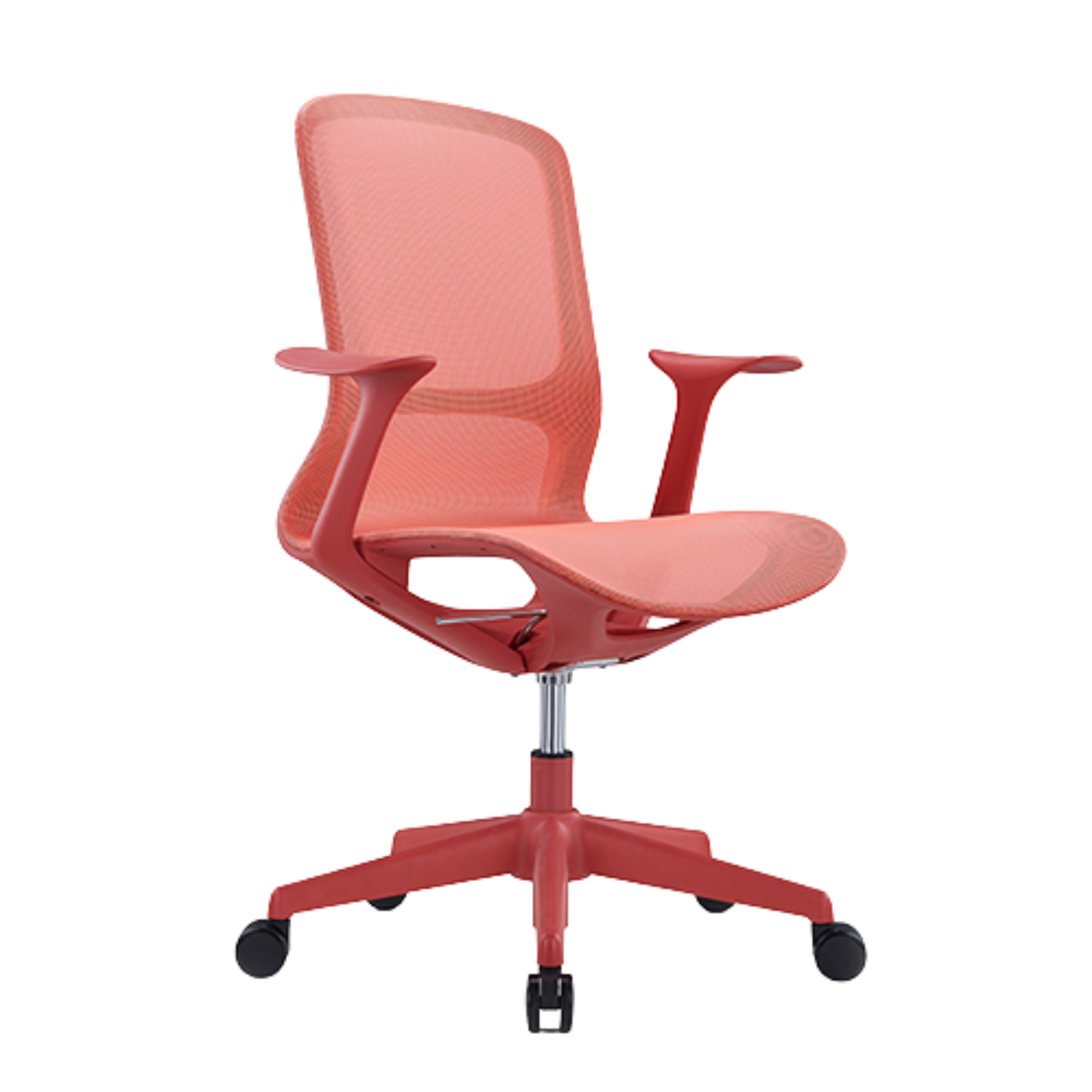 RAINBOW OHE-101