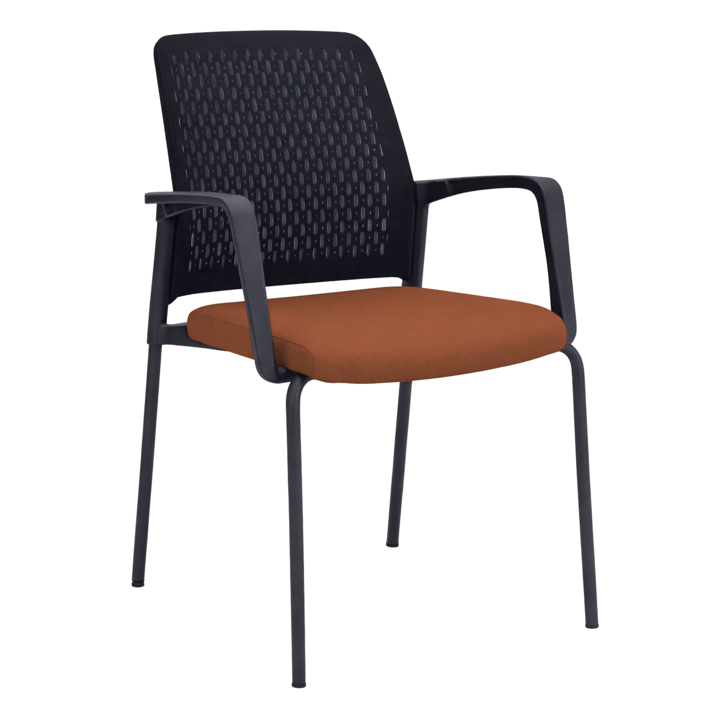 BAMBA GCSVIS165NE