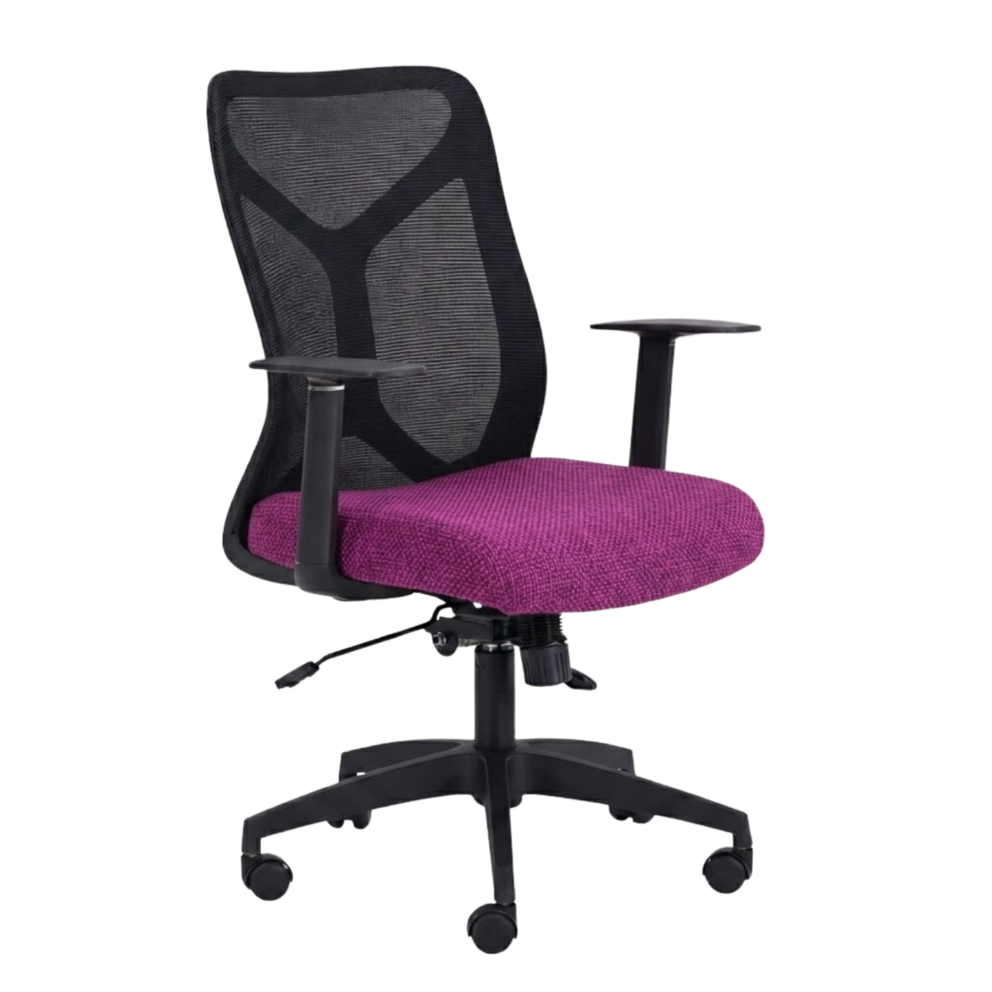 AMAZONA GCSOPE220NE
