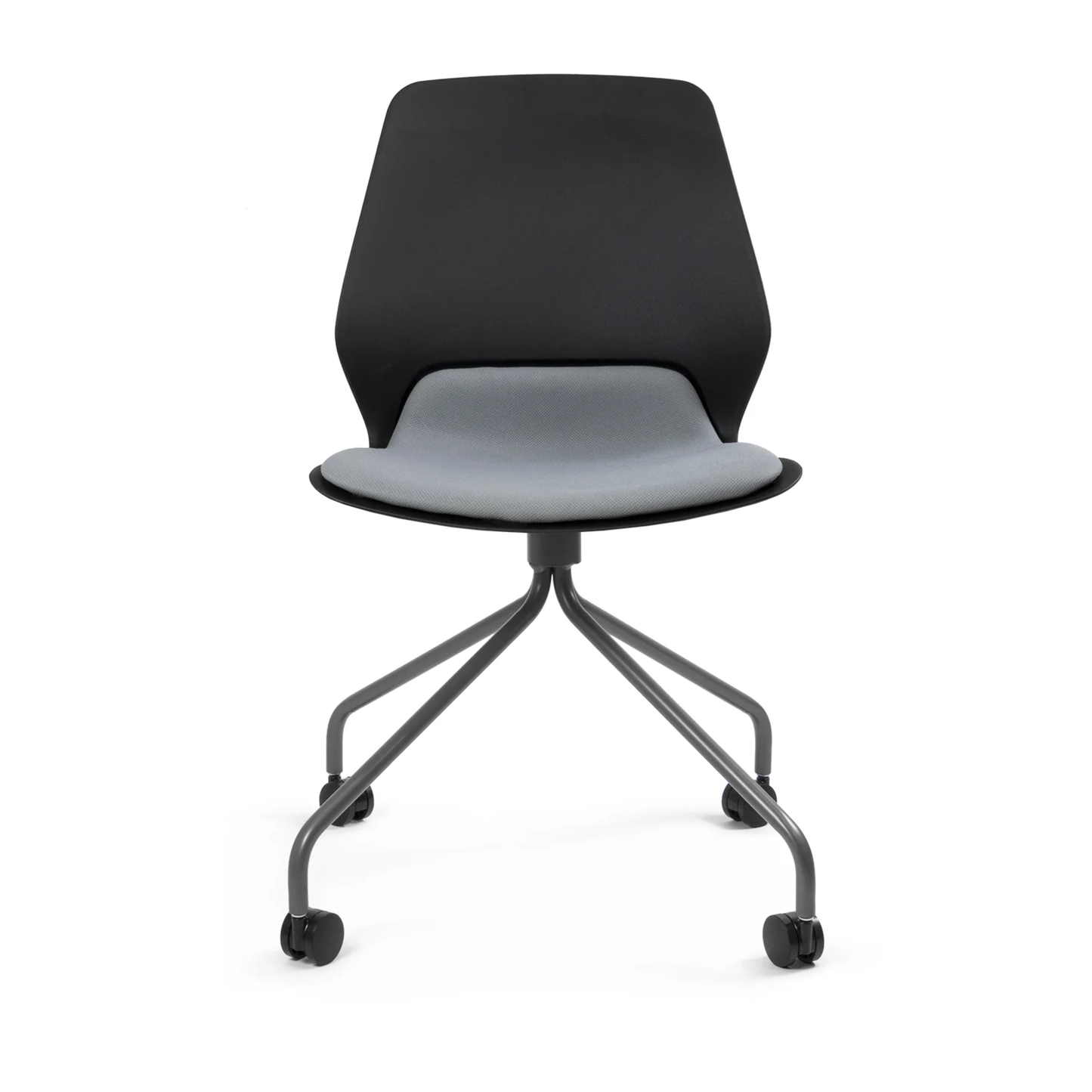 KOLBE NEGRO BASE SPIDER