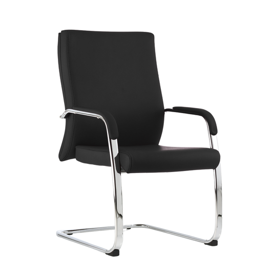VISITANTE CON TRINEO PIEL BM-1265-P