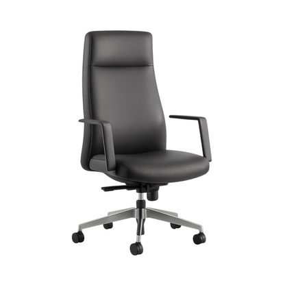 SILLON PARA DIRECCION BM 3500 P