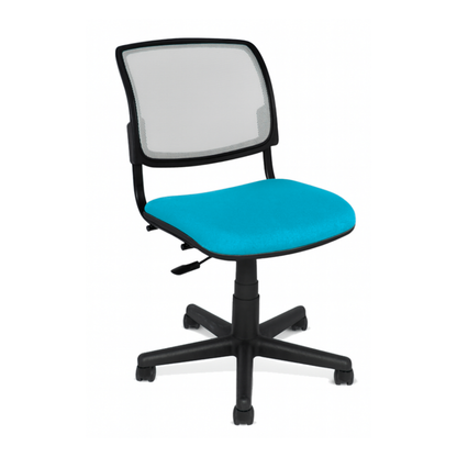 SECRETARIAL MESH SM-100